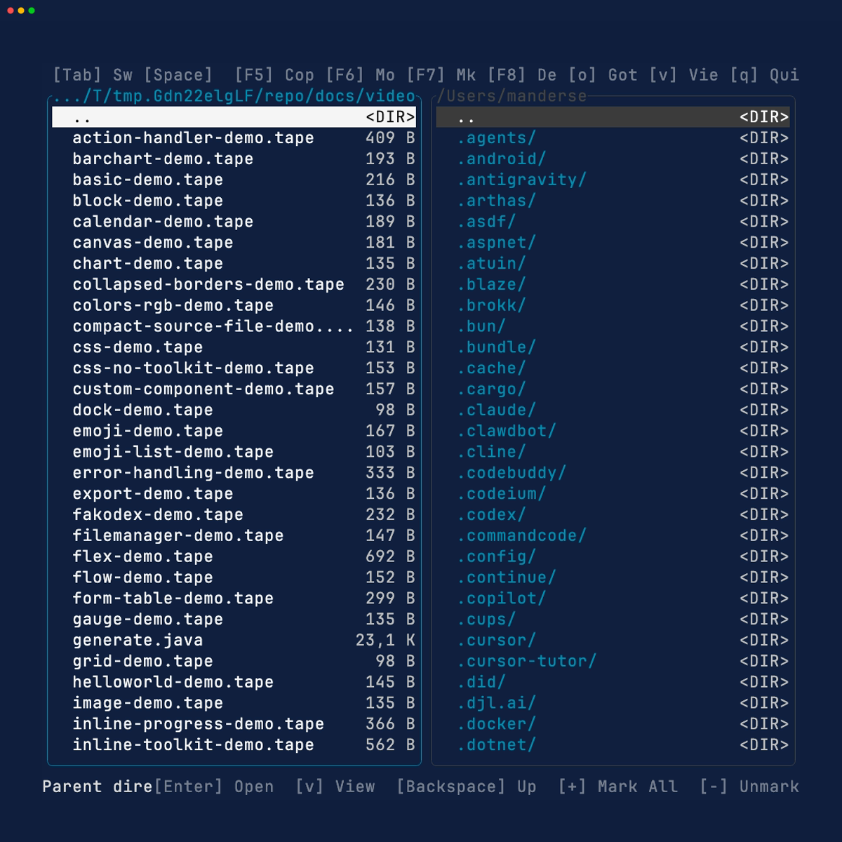 File manager demo
